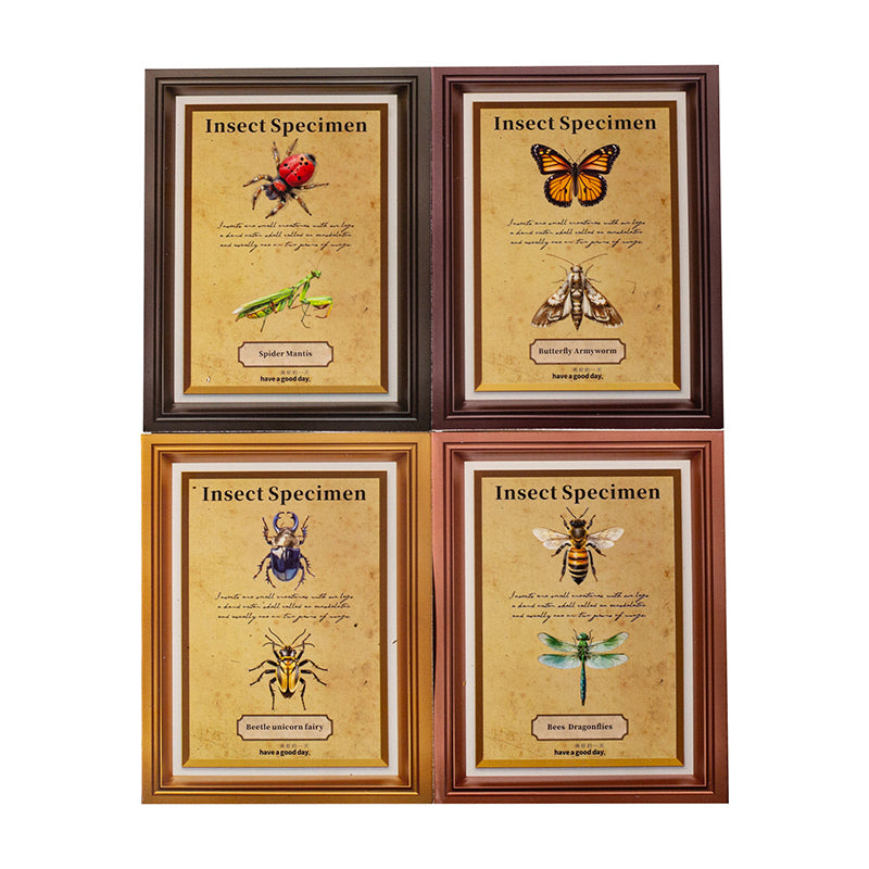 25pcs insect specimen sticker pack (S25082708)