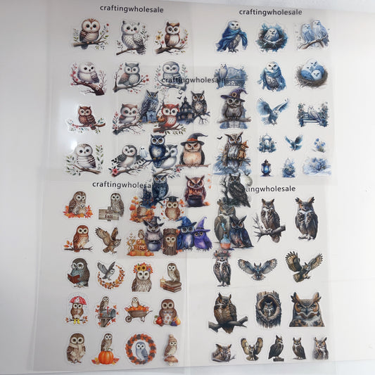 1pc Exclusive owl PET-stickers A5 size (S26011505)