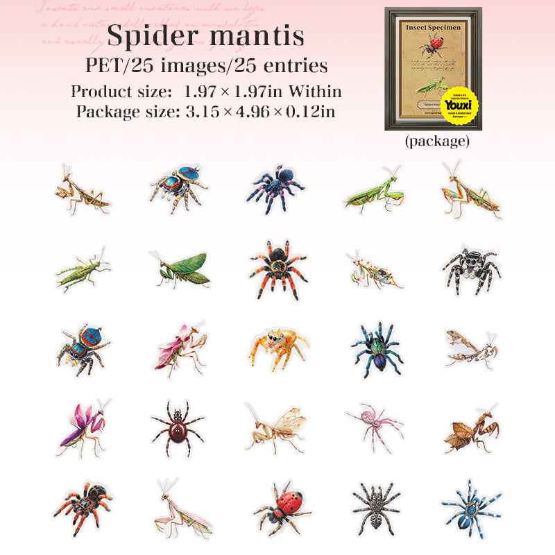 25pcs insect specimen sticker pack (S25082708)