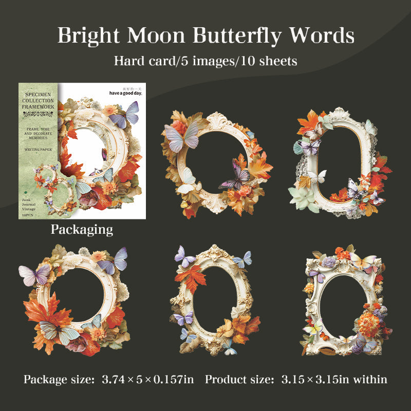 10pcs specimen frame card-sticker pack (S25110601)