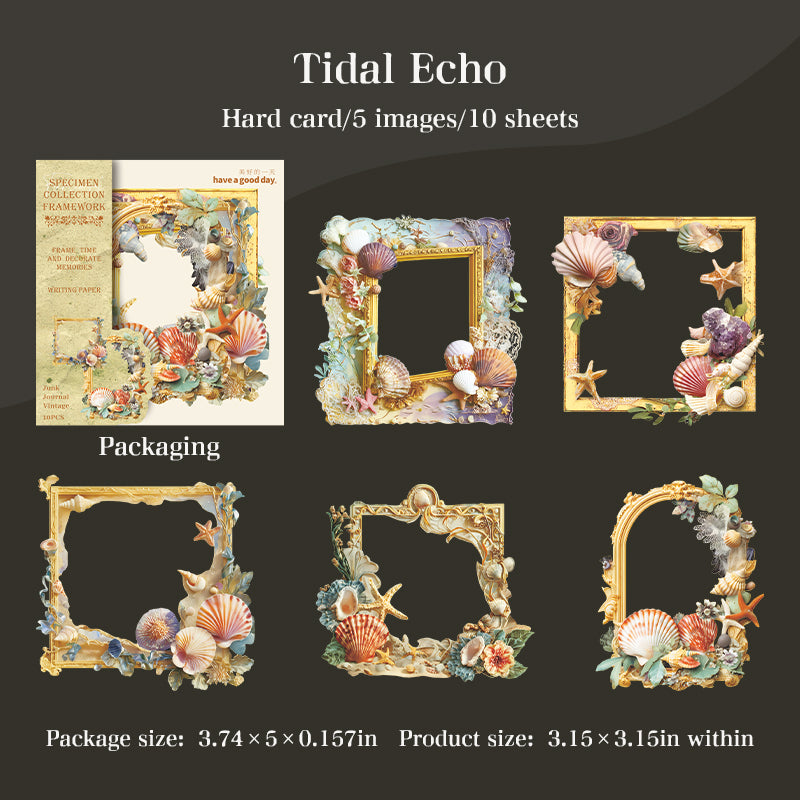10pcs specimen frame card-sticker pack (S25110601)