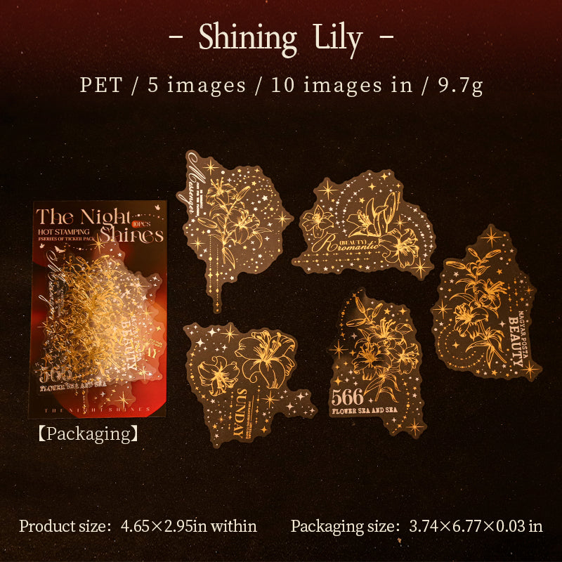 10pcs night shines PET-sticker pack (S25092410)