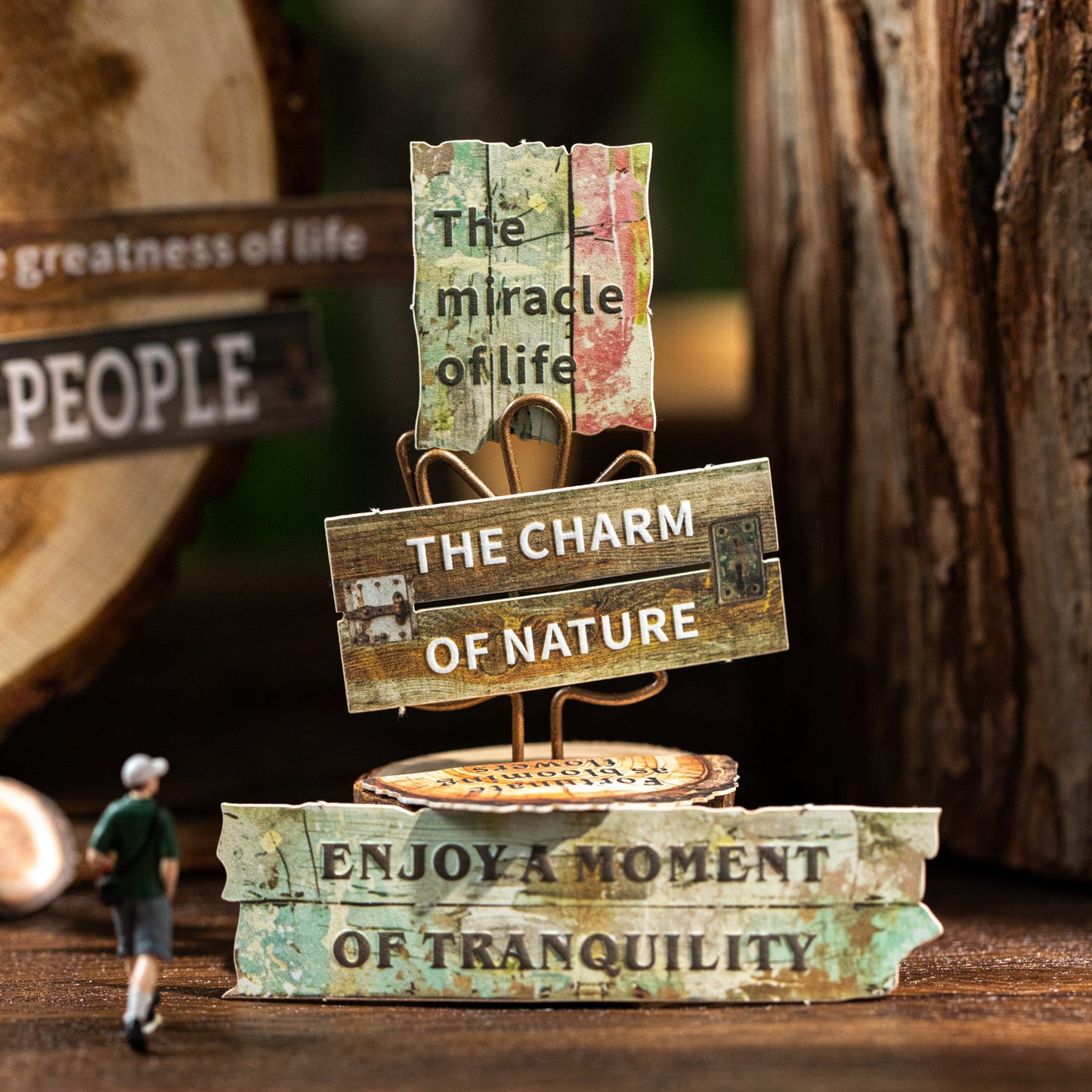 25pcs wooden fragment sticker card pack(S25121206)