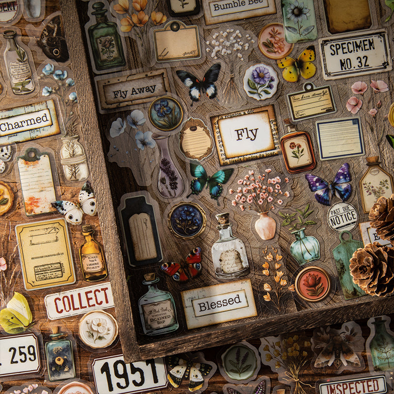 50 Stück Vintage-Aufkleberpackung (S25090406)