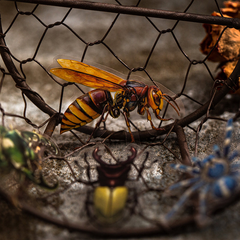 25pcs insect specimen sticker pack (S25082708)