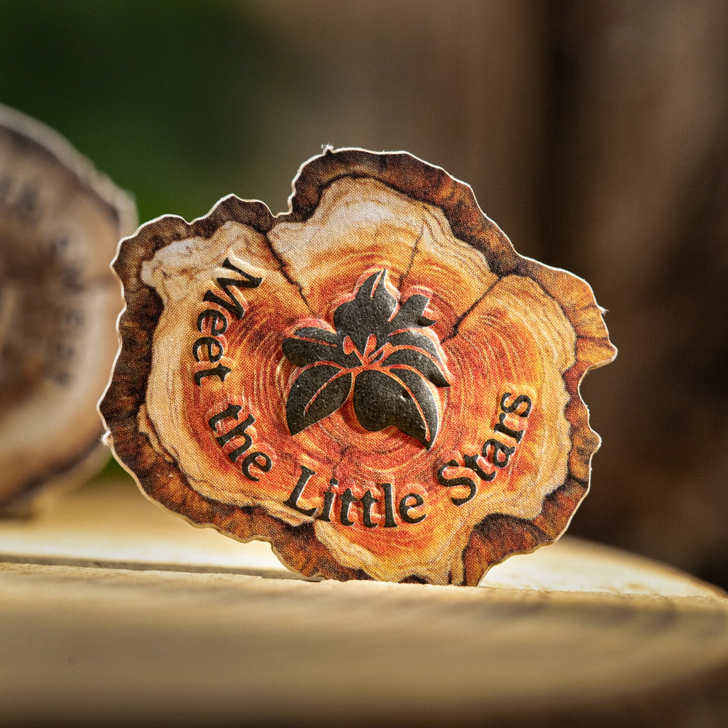 25pcs wooden fragment sticker card pack(S25121206)