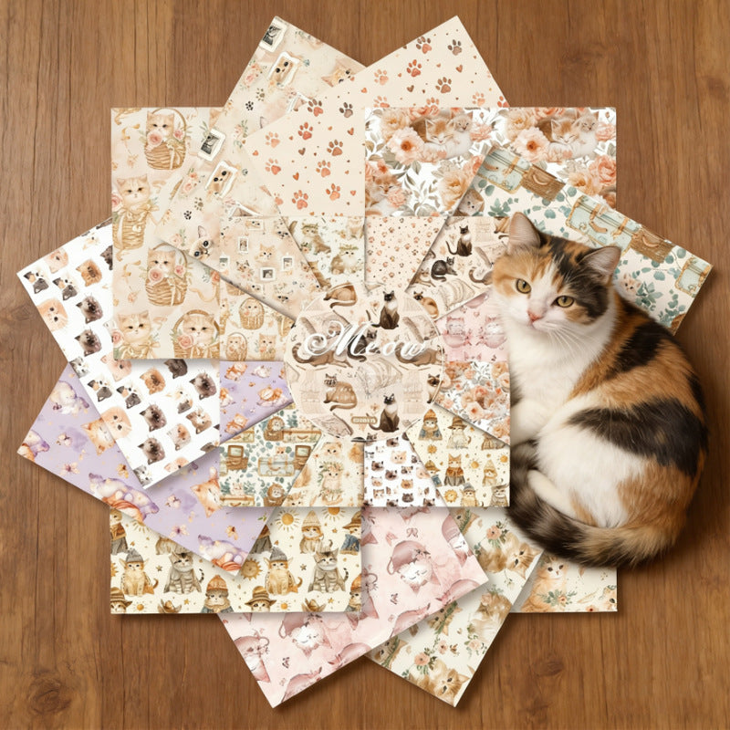 24pcs 6inch cat paper pack(TZB25121508)