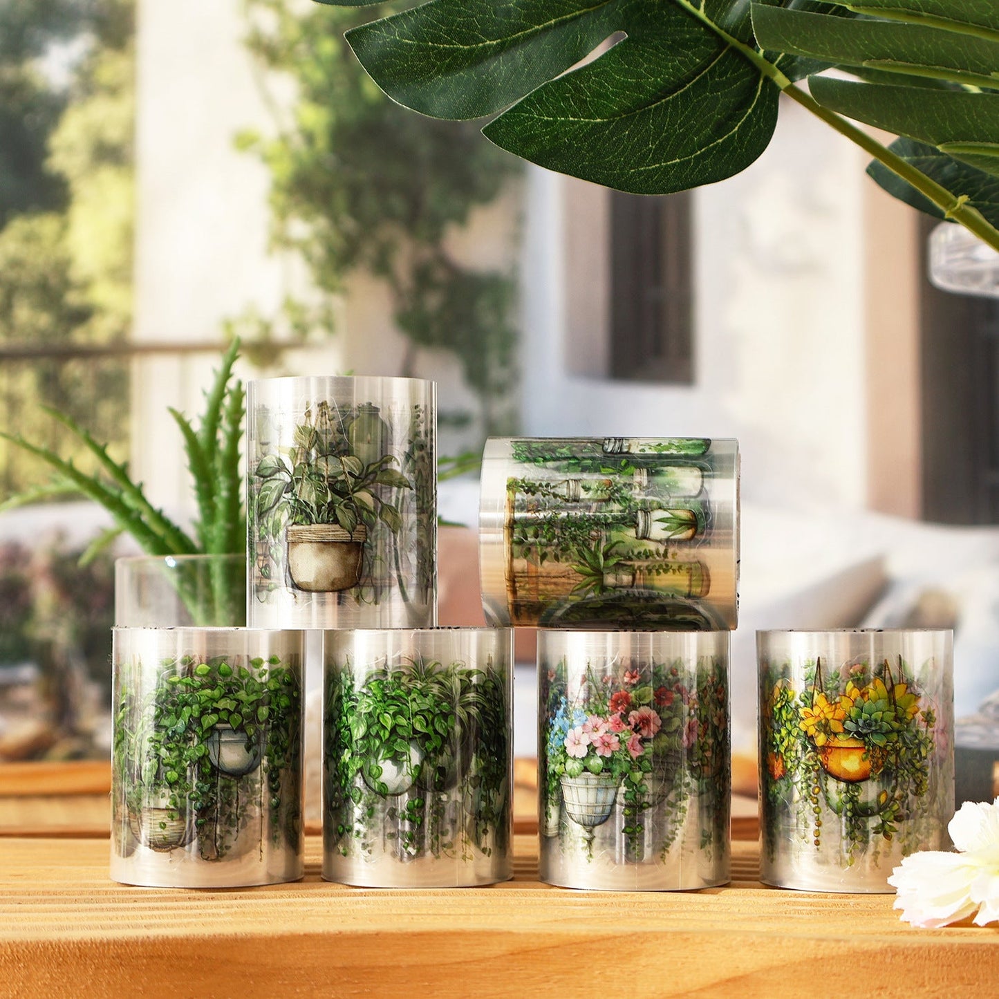 6 rolls plant tape box (T25110609)