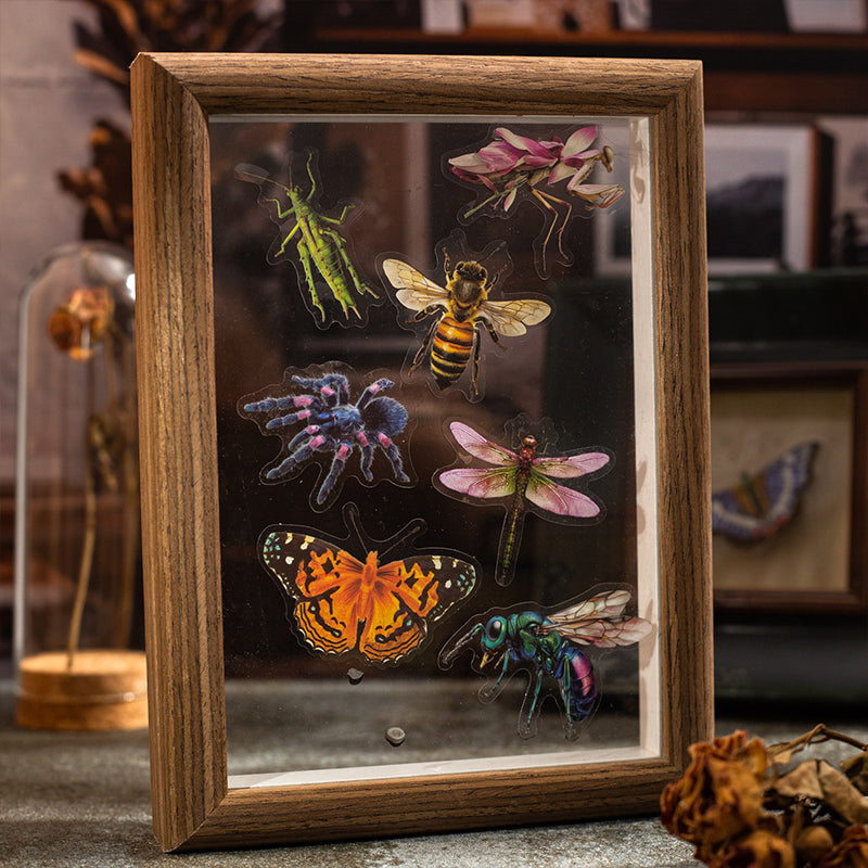 25pcs insect specimen sticker pack (S25082708)