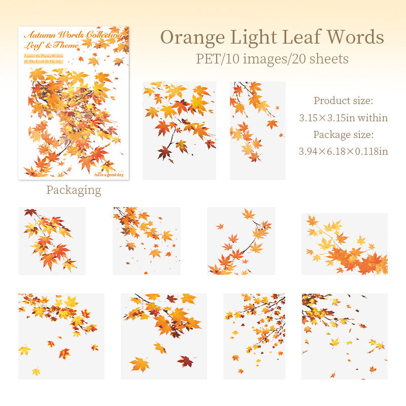 20pcs autumn leaf PET-sticker pack (S25091704)