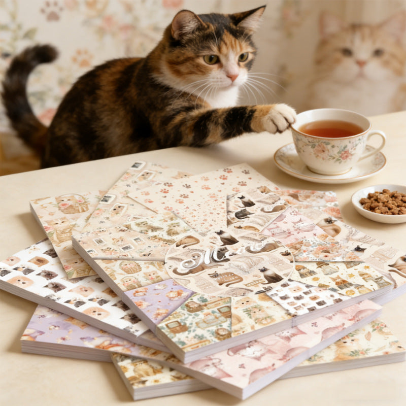 24pcs 6inch cat paper pack(TZB25121508)
