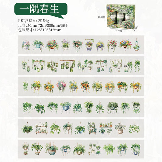 6 rolls plant tape box (T25110609)